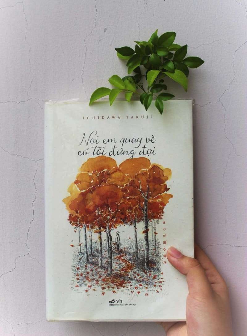 Nơi em quay về có tôi đứng đợi là cuốn tiểu thuyết đầu tay của Ichikawa takuji