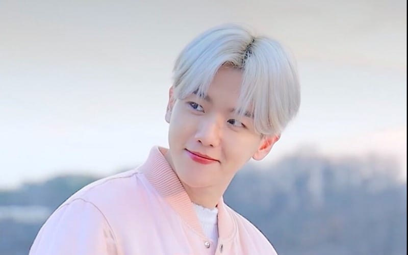 Baekhyun được xem là mẫu hình thần tượng toàn vẹn