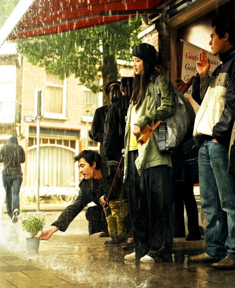 Daisy là bản tình ca ngọt ngào mà buồn bã