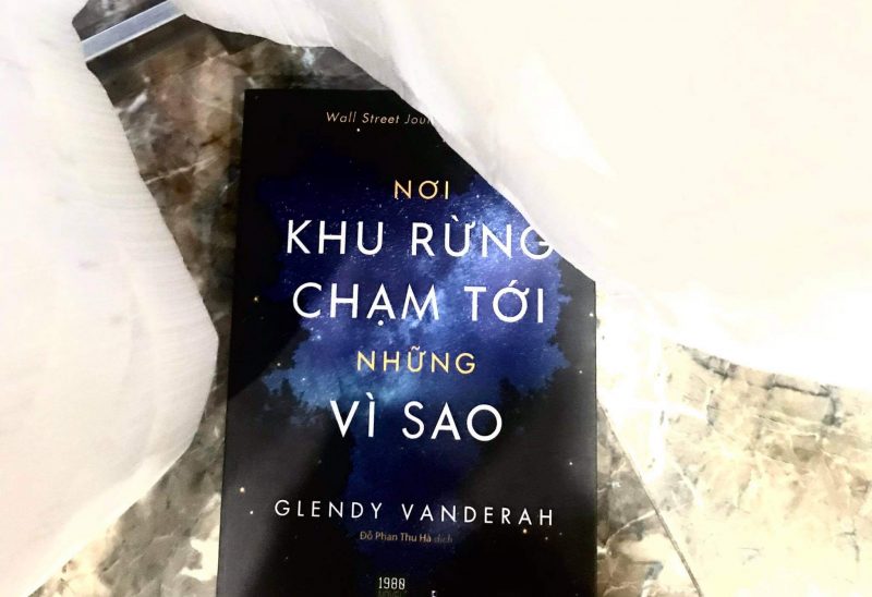 Ảnh minh hoạ cho giá trị nhân văn của Nơi khu rừng chạm tới những vì sao