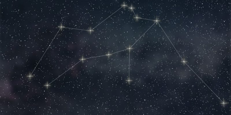 Họ sáng tạo và có sức lôi cuốn mạnh mẽ
