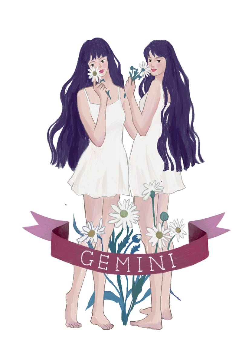 Song Tử và những điều đặc biệt