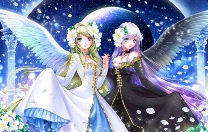 Song Tử và những đặc điểm nổi bật