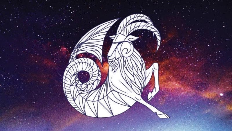 Họ luôn dành một niềm đam mê to lớn dành cho công việc và đặt toàn tâm vào việc đạt được thành công