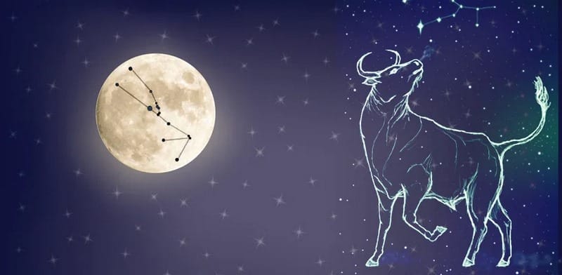 Những người này yêu thích chức quyền và có sự tập trung cao độ
