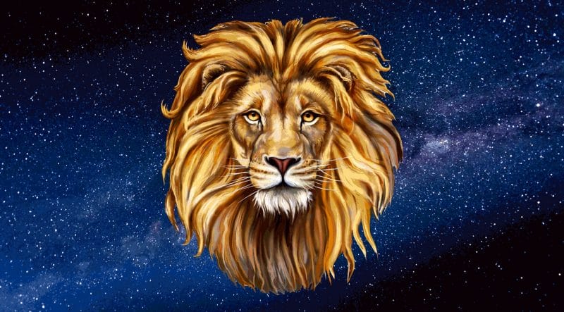 Leo-B trong cuộc sống hôn nhân