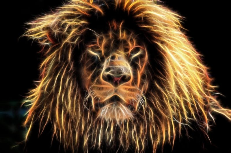 Đường tài vận của Leo B