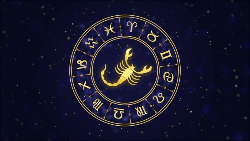 Bọ Cạp thực chất rất dễ mềm lòng