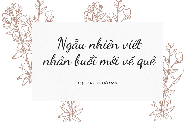 Hạ Tri Chương là bạn vong niên của Lý Bạch