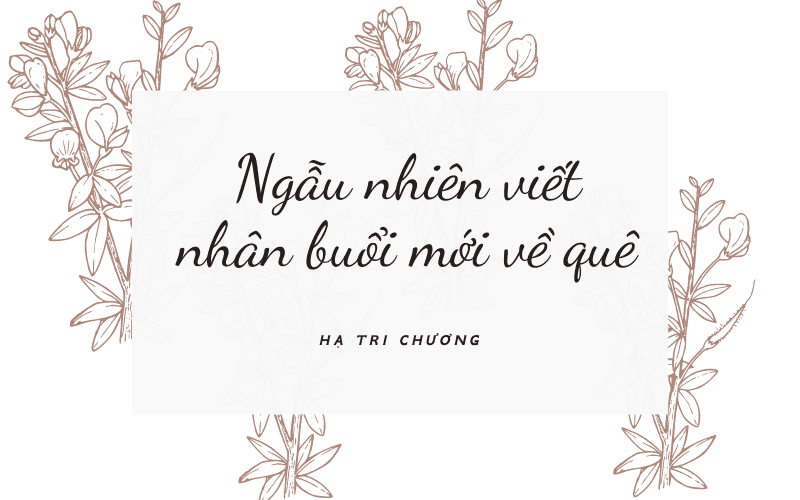 Hạ Tri Chương là bạn vong niên của Lý Bạch