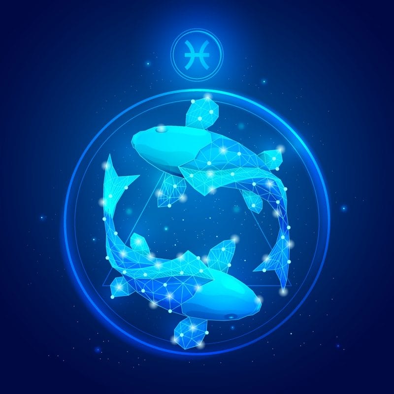 Họ thường lý tưởng hoá tình yêu