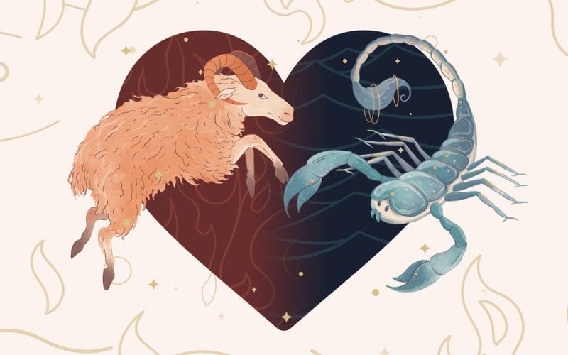 Hai anh chàng này có thể thoải mái tạo dựng tình bạn tốt đẹp bên nhau