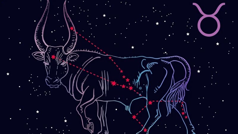 Anh chàng này cũng khá ghen tuông và nặng tính chiếm hữu