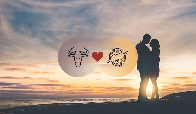 Tình yêu giữa Kim Ngưu và Song Ngư