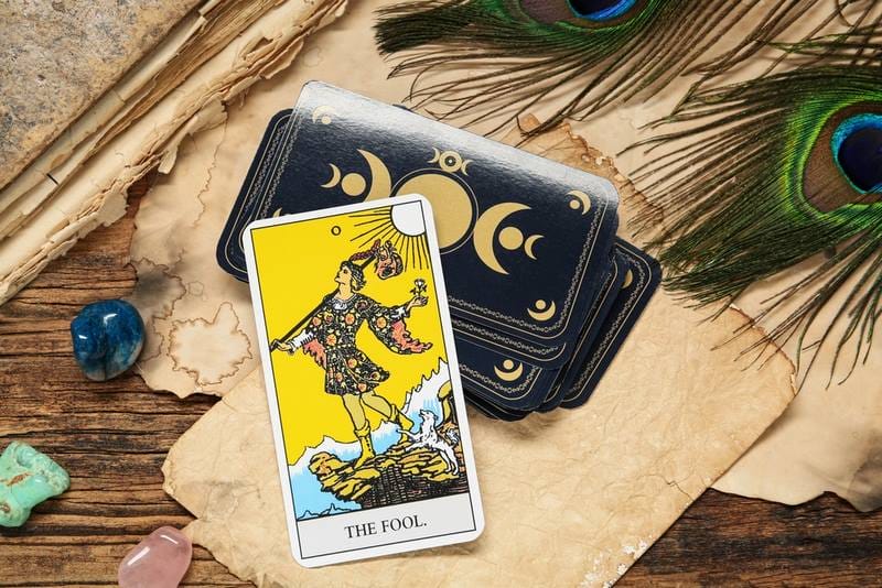 Lá bài này được minh họa bởi hình ảnh anh hề đang hào hứng trên chuyến đi khám phá thế giới