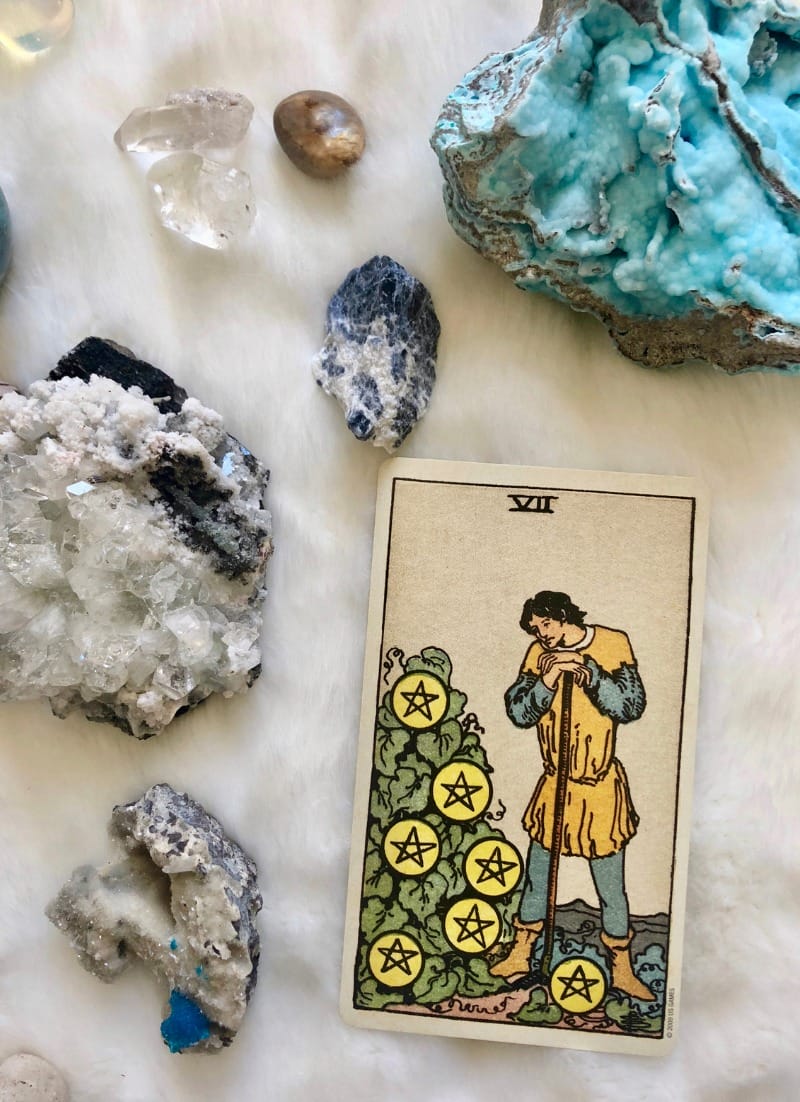 Chi tiết những thông điệp mà 7 of Pentacles mang lại