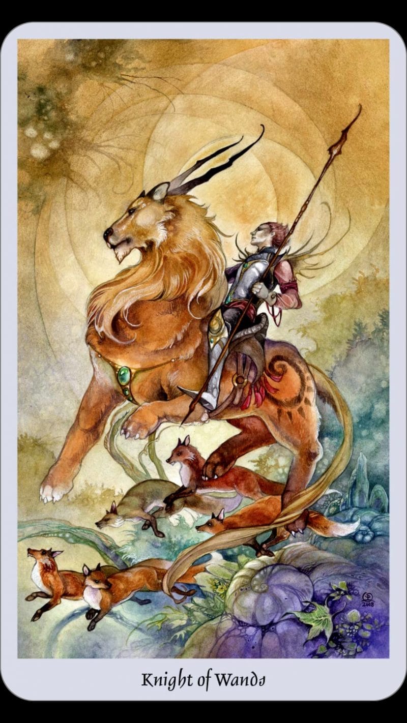 Lá Knight of Wands mang lại nguồn năng lượng tích cực cho người trải bài