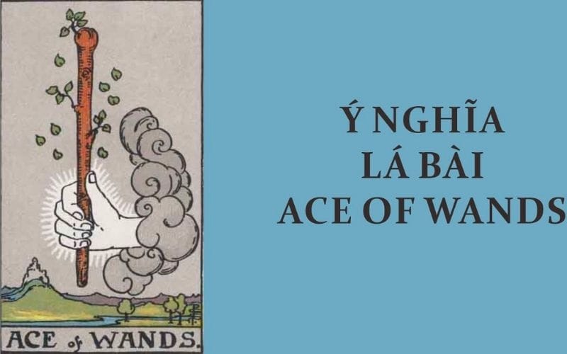 Ý nghĩa lá bài Ace of Wands