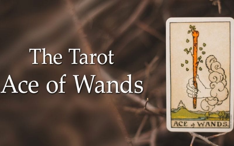 Ace of Wands giống như một món quà