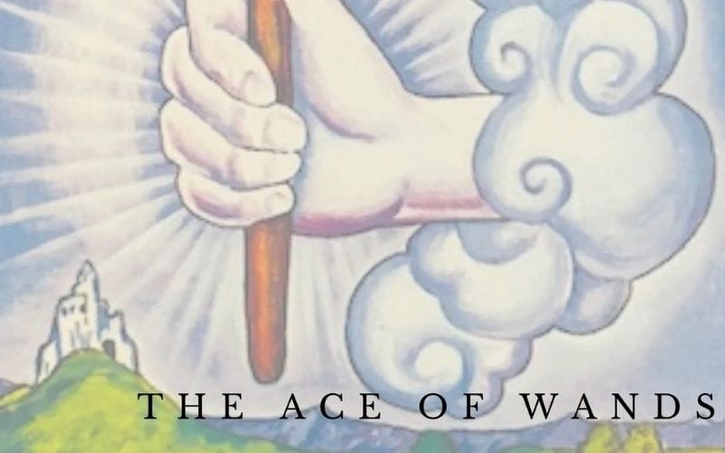 Ace of Wands khi xuất hiện trong câu hỏi liên quan đến tình yêu