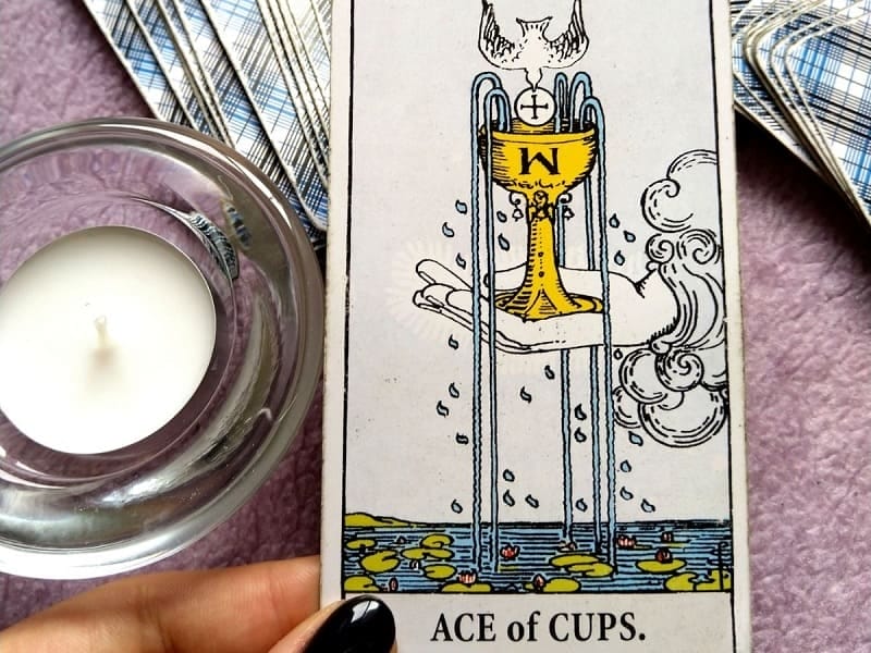 Những hình ảnh mang nhiều ý nghĩa trên lá bài Ace Of Cups