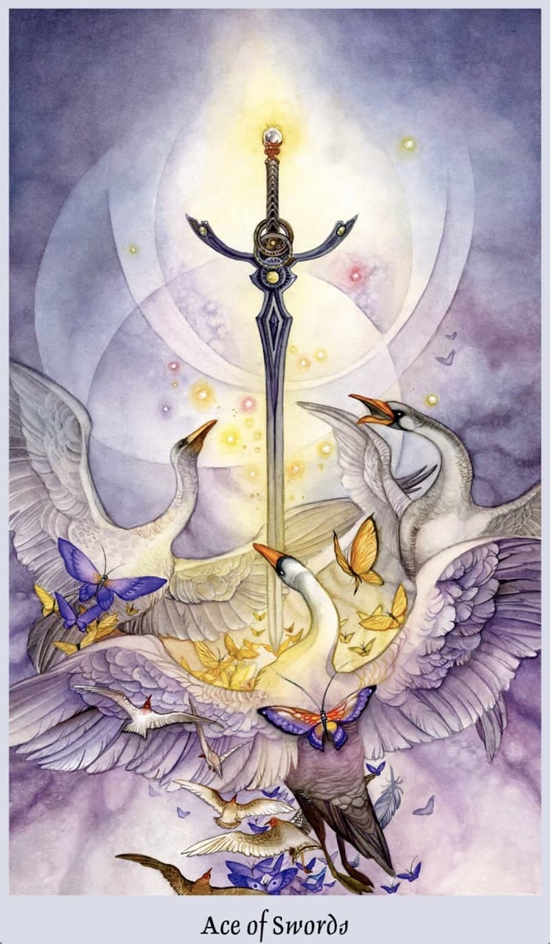 Ace of Swords và những ẩn ý sau nó