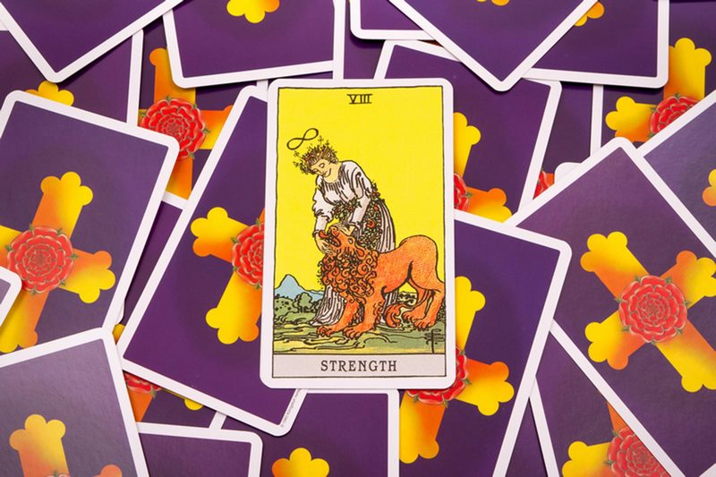 Lá bài Strength được đánh số 8 trong bộ bài Tarot với những ý nghĩa đặc biệt