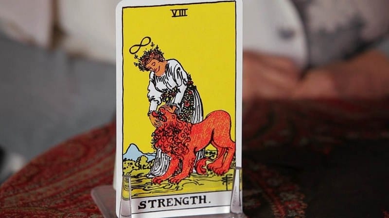 Lá bài Strength ở chiều xuôi mang đến những tín hiệu tích cực cho sự nghiệp của bạn