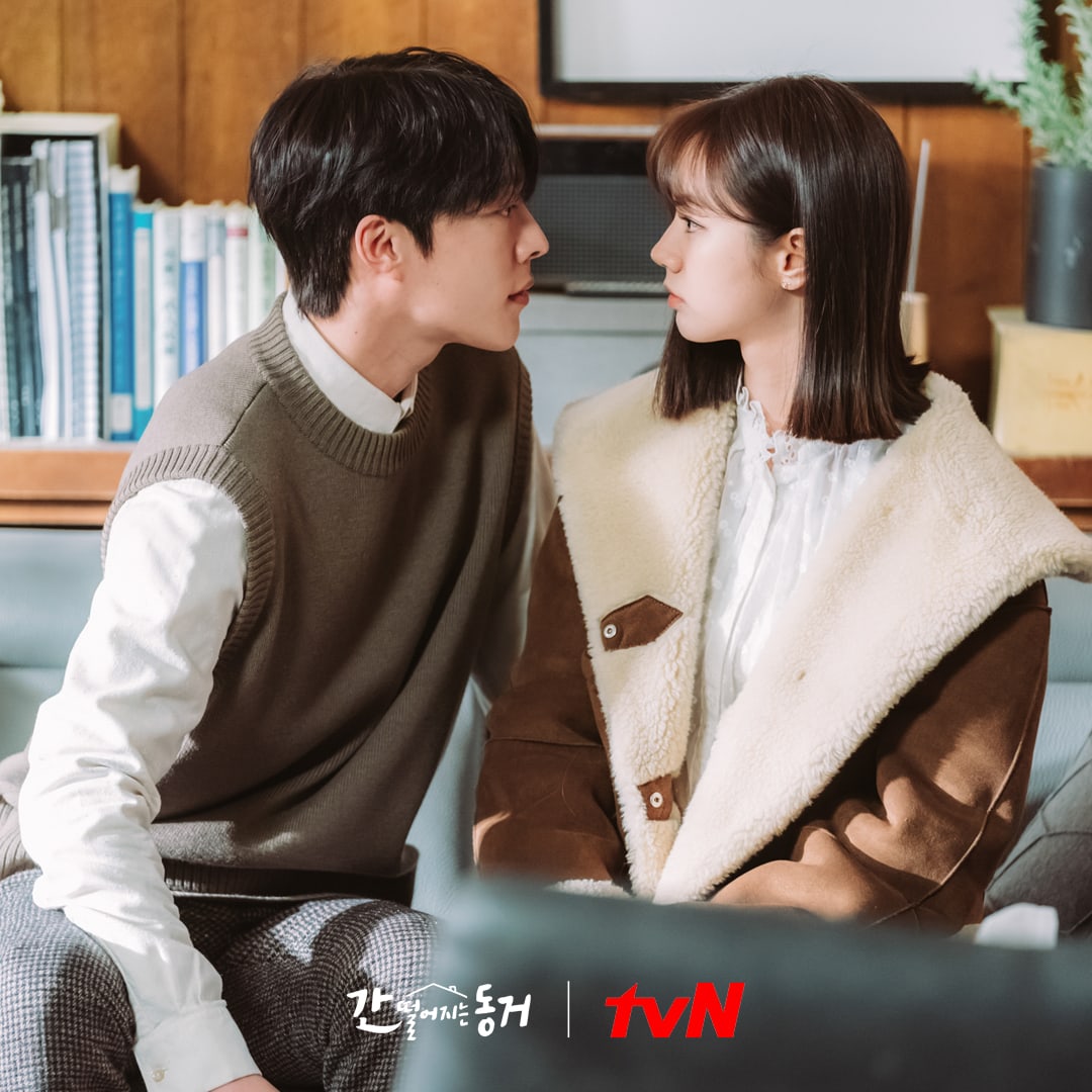 Cả hai dần nhận ra tình cảm dành cho nhau trong Bạn cùng phòng của tôi là Gumiho