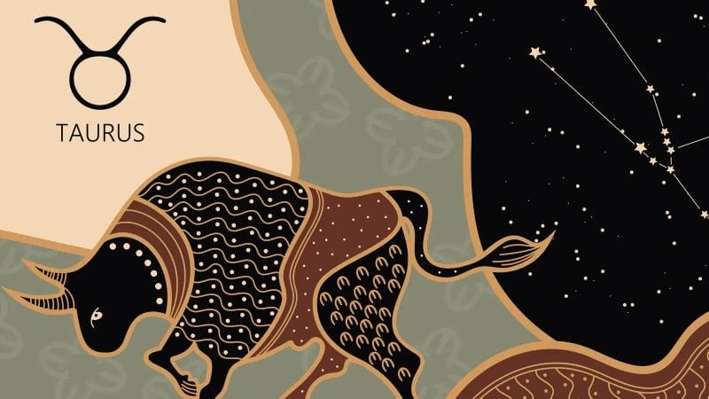 Chàng luôn quan tâm và chiều chuộng người mình thích