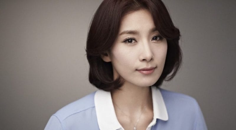 Năm 1994, Kim Seo Hyung xuất hiện trước công chúng với tư cách tài năng trong đợt tuyển dụng mở rộng lần thứ mười sáu của đài KBS