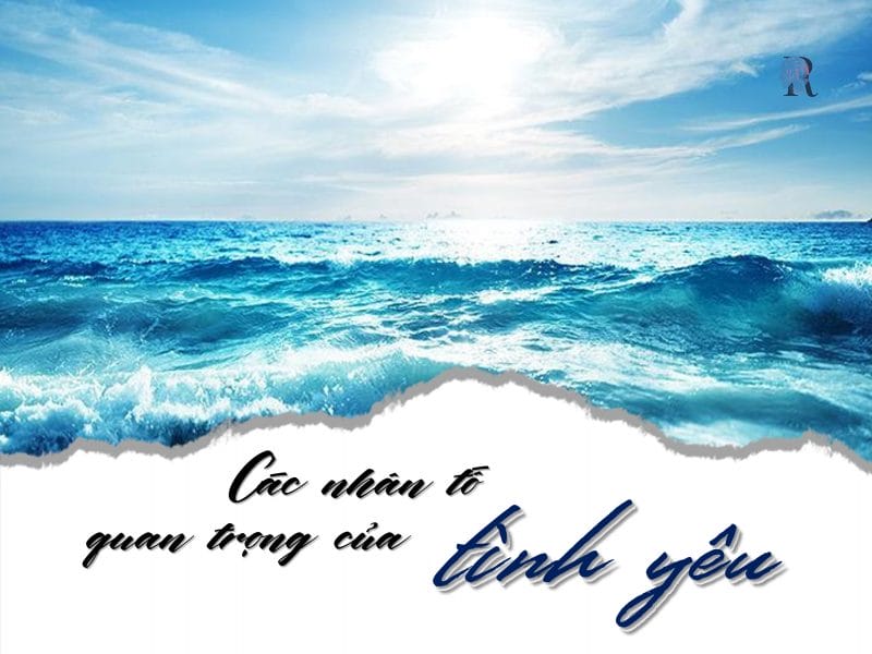 Những trăn trở về tình yêu đã được Xuân Quỳnh diễn tả một cách ngây thơ mà sâu sắc 