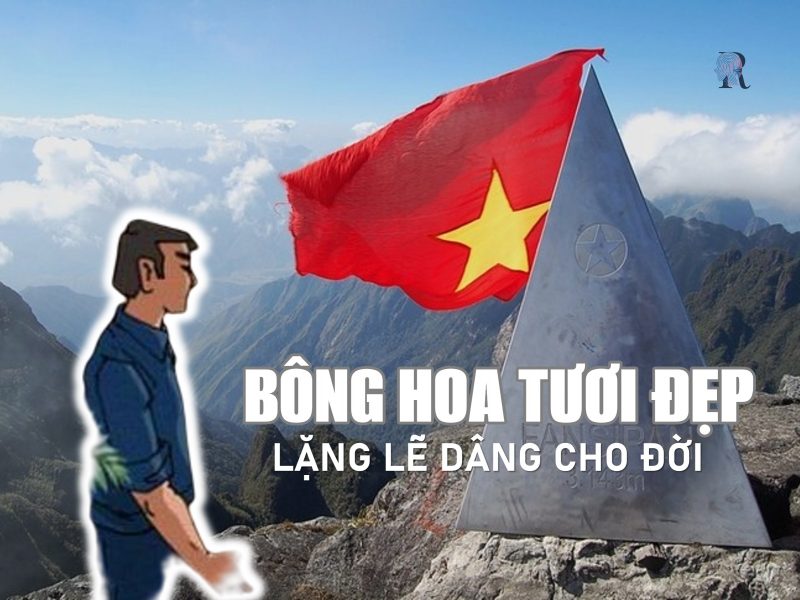 Bông hoa tiêu biểu ở vùng núi Sa Pa