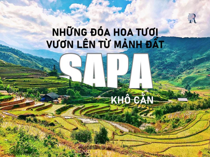 Những đóa hoa nở rộ từ tấm lòng cao đẹp